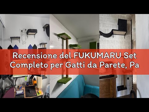 Recensione del FUKUMARU Set Completo per Gatti da Parete, Parco Giochi Verticale Murale Multifunzion