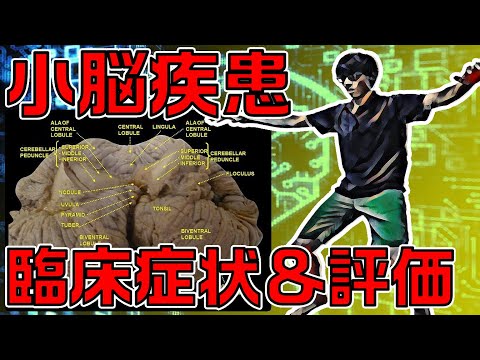 犬の運動失調 – 原因と治療法