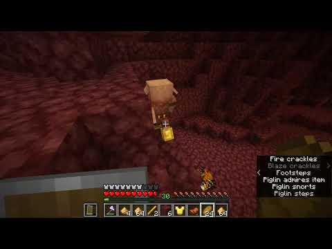 I think my Piglin is broken...