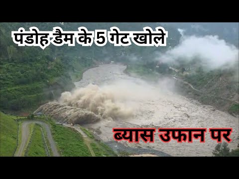 All gates of Pandoh Dam opened, stay away from Beas | Heavy Rainfall | Pandoh Dam | Himachal Pradesh