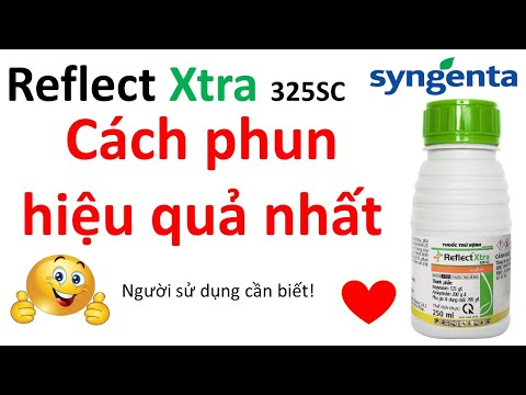 Extra Phun Org