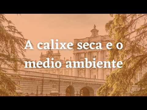 Vídeo: A calixe seca e o medio ambiente
