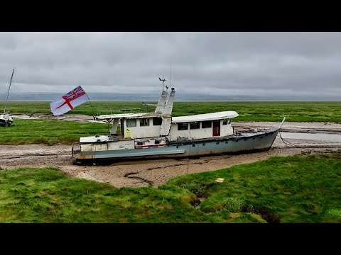 D-Day 80 Year Anniversary Special #dday #ww2 #history