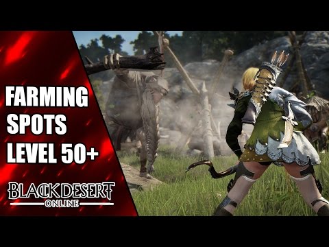 Level 50 Farm Spots für Anfänger -  Black Desert Online