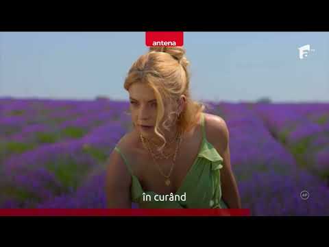 PROMO IUBIRE CU PARFUM DE LAVANDĂ - NOUL SEZON, CU NOI PERSONAJE - 06.08.25