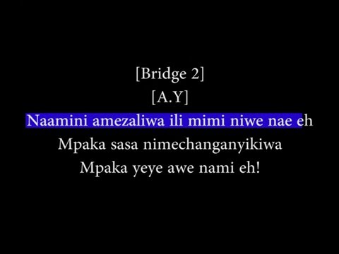 AY Ft Diamond Platnumz - ZIGO REMIX KARAOKE