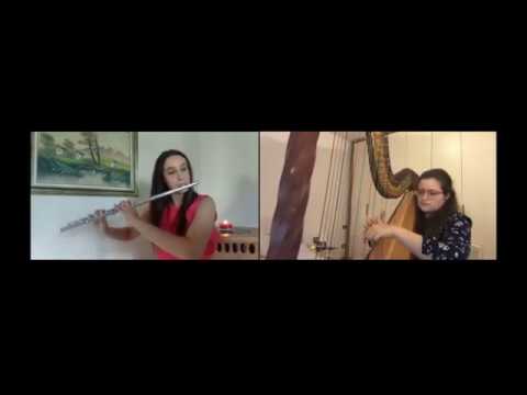 Ensemble Myricae Arpa, flauto e violino Padova Musiqua