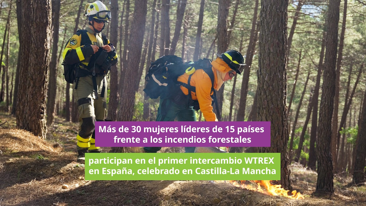 🔥¿Quién lidera el futuro de la gestión de los incendios forestales? | FIAP