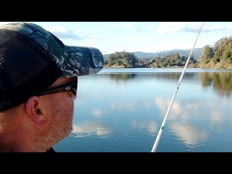 " Live" Seeing How Shore's Doing At Pinto.