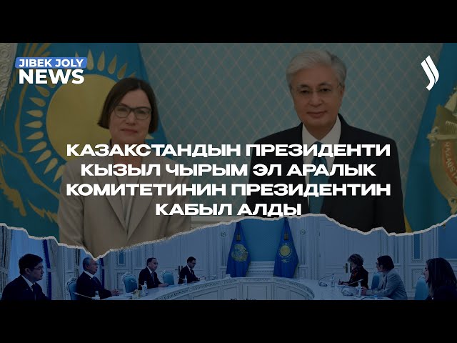 Казакстандын Президенти Кызыл Чырым эл аралык комитетинин президентин кабыл алды