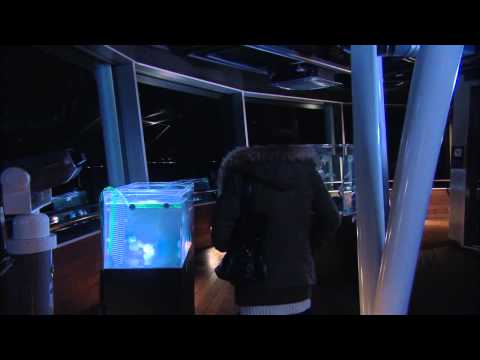 nagareboshi fmv 2012