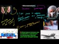 278 Обоснованный риск 