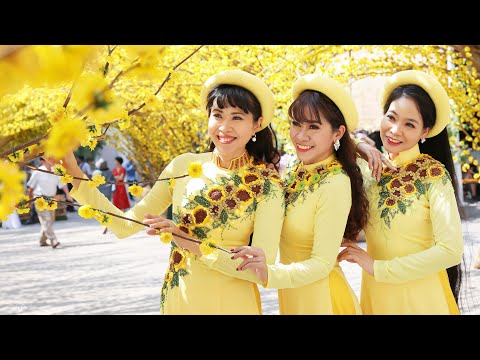 Việt Nam quê hương ngày tết - Nhóm Phù Sa