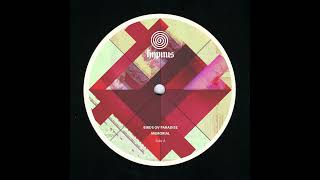 Birds ov Paradise - Samuel (Original Mix)