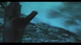 Goushitsu Hakushi no Sakura