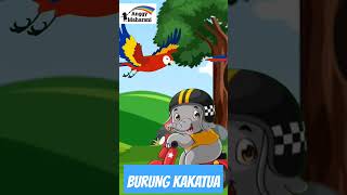 Download lagu BURUNG KAKATUA mp3