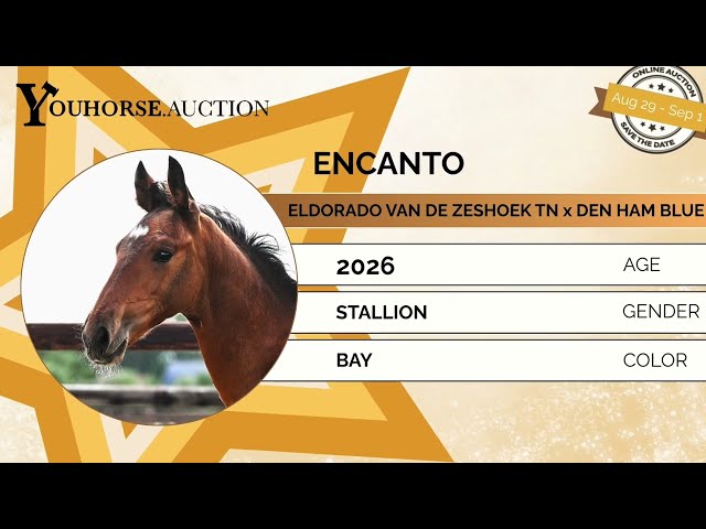 Encanto