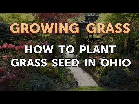 How to Plant Grass Seed in Ohio