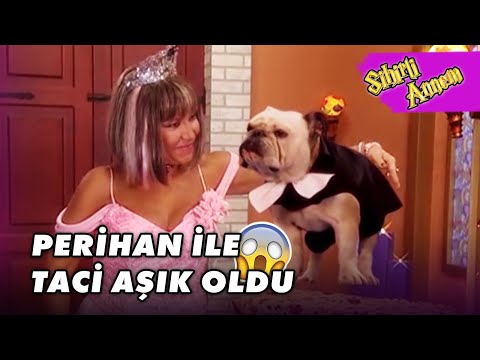 Taci ile Perihan Sevgili Oldu! - Sihirli Annem 27.Bölüm