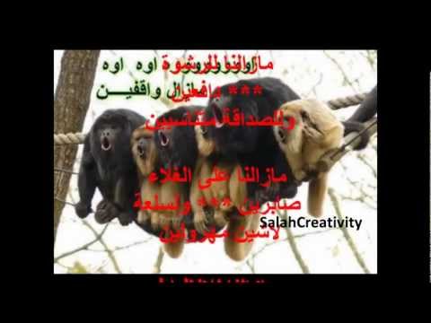 النسخة الحقيقية : مازال واقفين