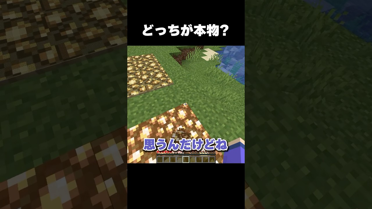 一つだけ間違ってるものが... #マイクラ