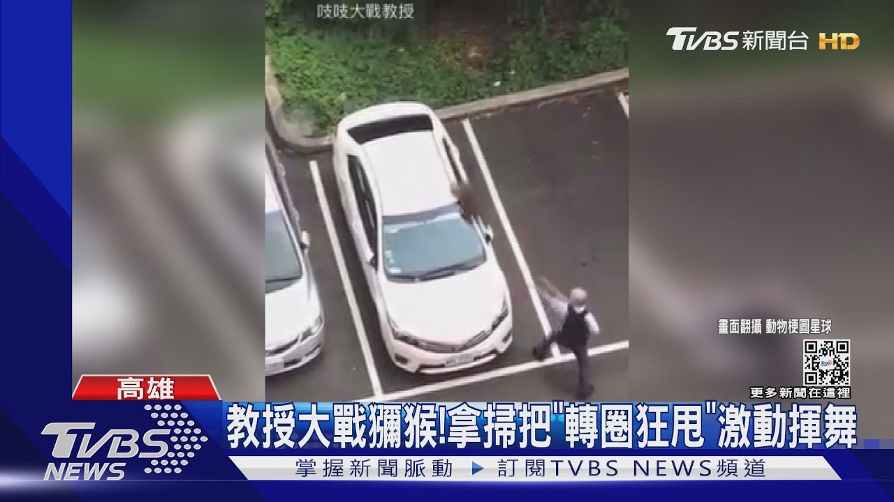 教授筋骨真好!拿掃把「轉圈狂甩」激戰獼猴