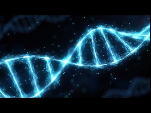 Der Datenspeicher der Zukunft? Synthetische DNA! - Ergebniskonferenz des #HTF2021