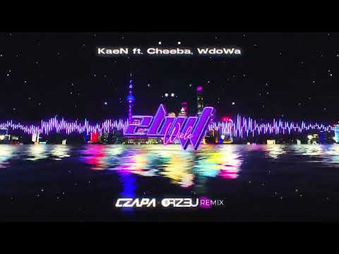 KaeN ft. Cheeba, WdoWa - Zbyt Wiele (CZAPA X ORZ3U REMIX)