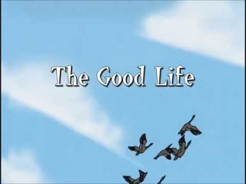 Jordan’s Sound Effects Compilation No.102:BIRD, GEESE - CANADA GEESE: FLOCK OVERHEAD, GOOSE, ANIMAL