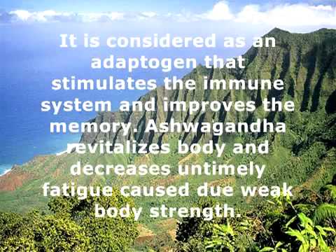 Online ashwagandha powder supplement, buy ashwagandha root e...