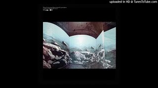 Future Sound Of London - Halodule