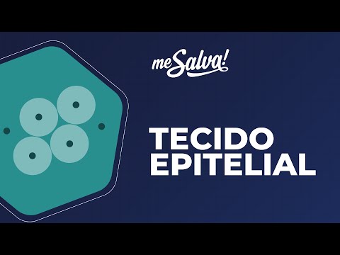 Tecido Epitelial - Histologia Humana - Me Salva! Saúde