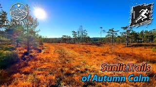 🌤 Sunlit Trails of Autumn Calm 🏃