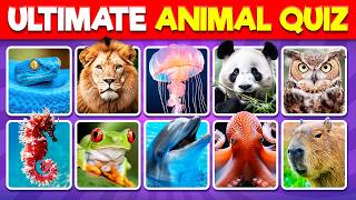 How Much Do You Know About Animals? 🐾 | 50 Animal Trivia Questions