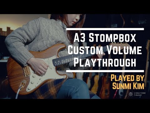 A3 Stompbox A3 Custom Volume -Mini (250k, Passive) image 4