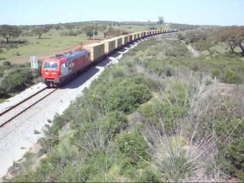 4709 XXI Azinheira de Barros 7-4-10 PF