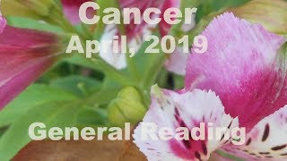 Cancer RIGHTING A WRONG! April 2019 General Tarot Reading