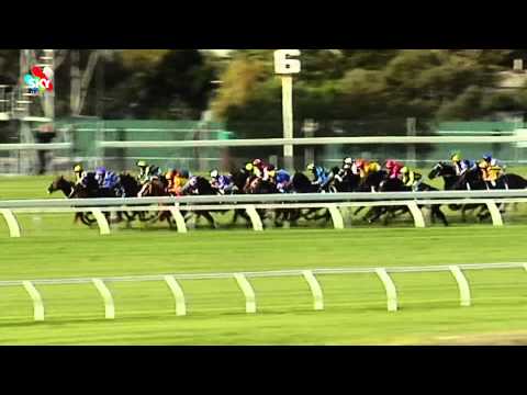 Smokin' Joey storms home in The Goodwood at Morphetville