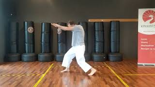 Snoekduik | voorbeeld