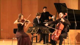 Brahms Piano Trio No. 3 in c minor, op. 101, 1st mvt