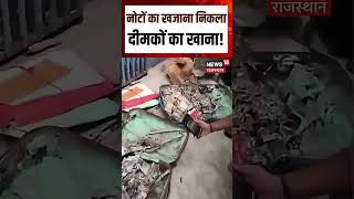 Download lagu Viral Cash Video :दीमकों ने कुतर डाले नोटों के बंडल | N18S | Viral | Cash | Top News | cash|breaking mp3