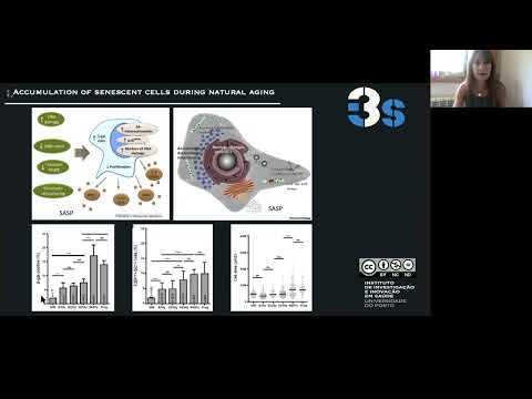 E17.1 - Chromosomal Instability and aging
