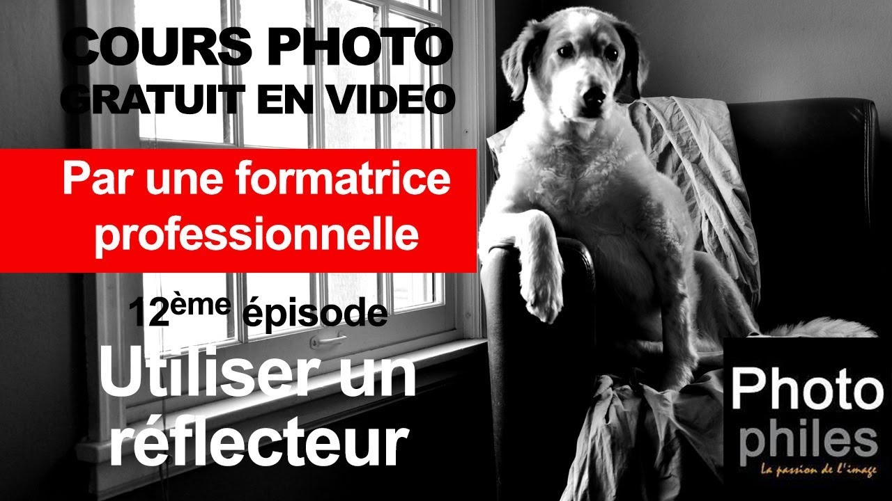 N°12 Cours sur la PHOTOGRAPHIE. L'éclairage : Utiliser un réflecteur