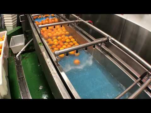 Founder of Juice Press Marcus Antebi showing off the heavy duty produce washing machine.