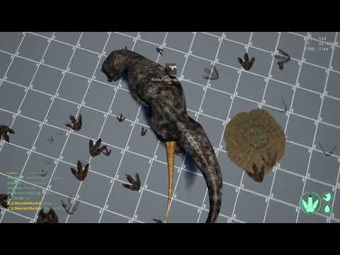 Galli vs Rex - 5 Matches - The Isle Legacy PvP Guide