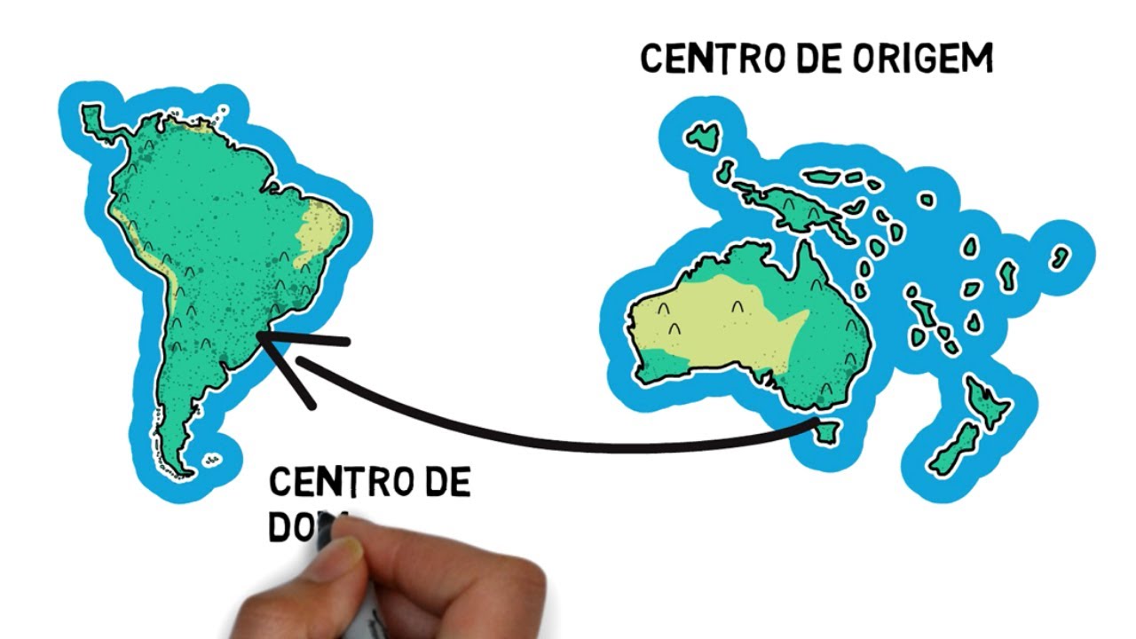 Centros de origem, diversidade, domesticação e bancos de germoplasma