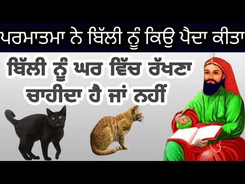 Parmatma Ne Billi Nu Kiyu Peda kita