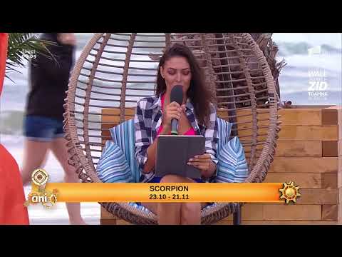 Horoscopul Zilei, 29 august 2017. Relaţiile cu persoana iubită sunt foarte bune pentru Gemeni