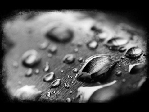 Para-Dox- Poslednie Slowo