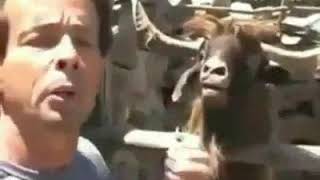 Download lagu 'Kata baba'pas kali buwat setatus wa✌️✌️✌️ mp3 Download lagu 'Kata baba'pas kali buwat setatus wa✌️✌️✌️ mp3